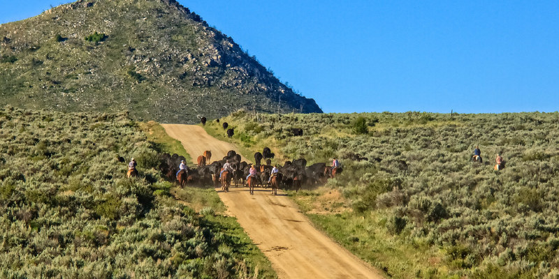 10 Benefits of the Humble Ranch House