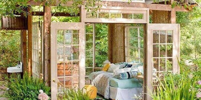 The Planting Distance for Climbing Hydrangeas